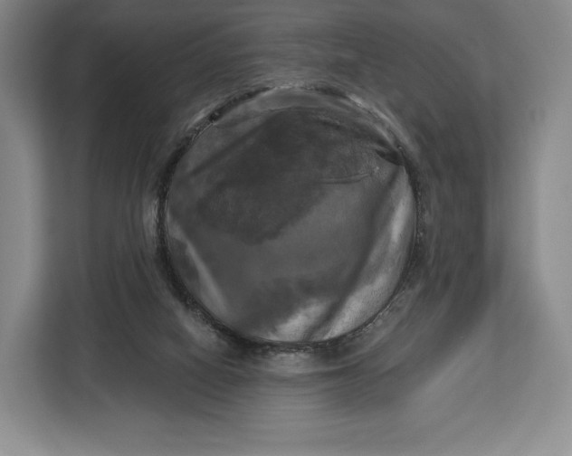 X0000113050066200909171549