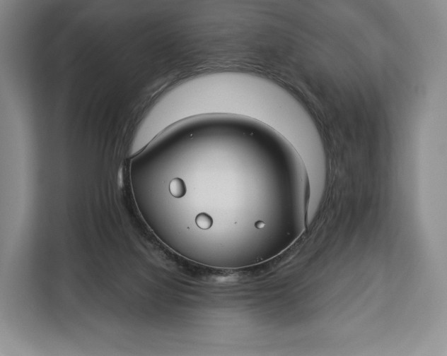 X0000113050068200909171549