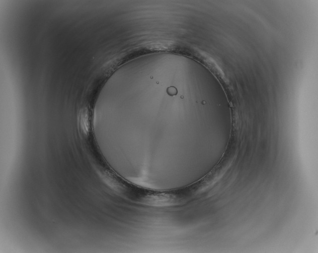 X0000113050069200909171549