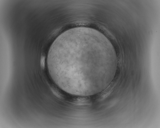 X0000113050070200909171549