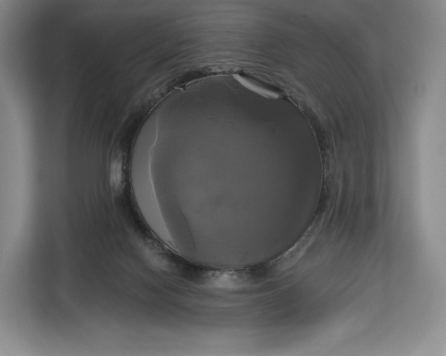 X0000113050074200909171549