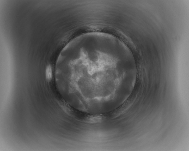 X0000113050075200909171549