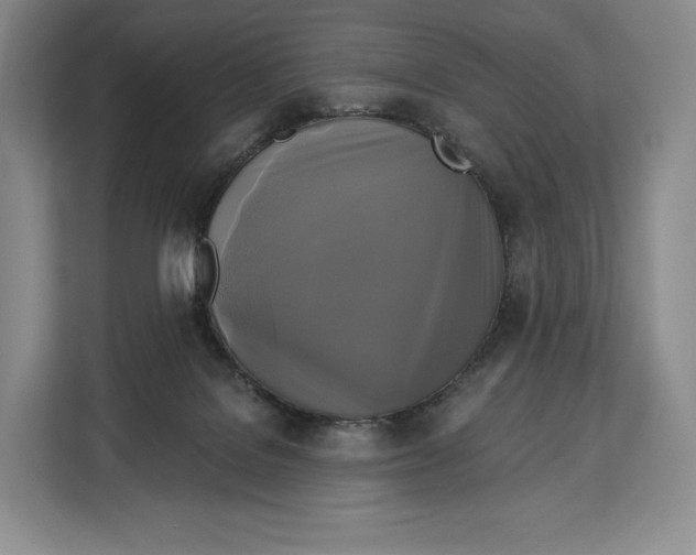 X0000113050076200909171549