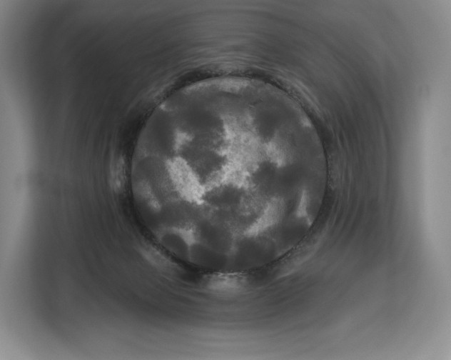 X0000113050077200909171549