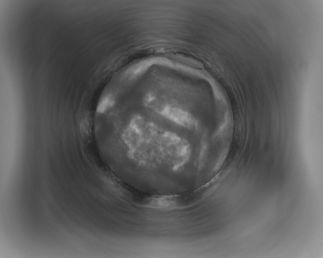 X0000113050078200909171549