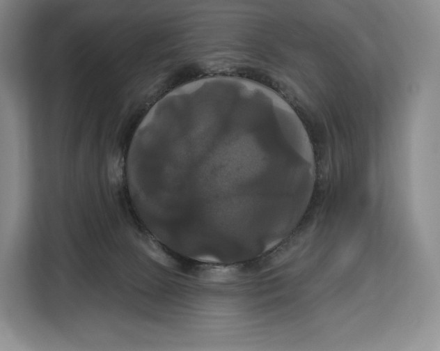 X0000113050081200909171549