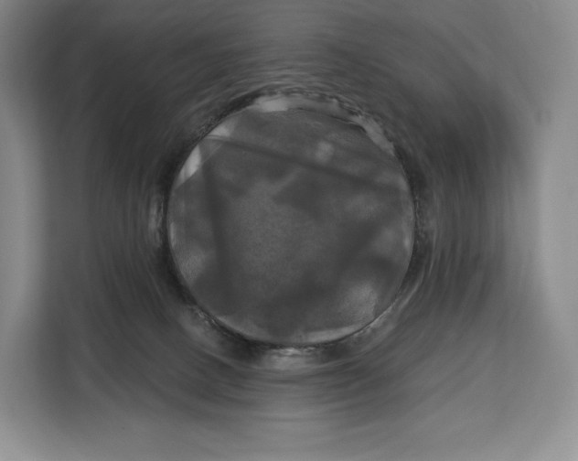 X0000113050082200909171549