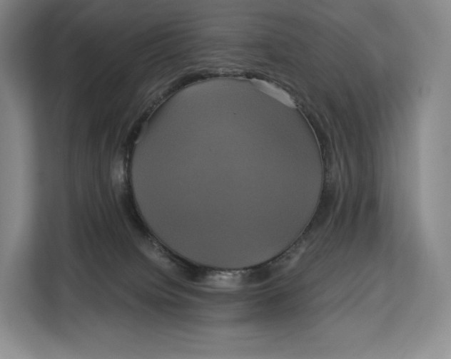 X0000113050084200909171549