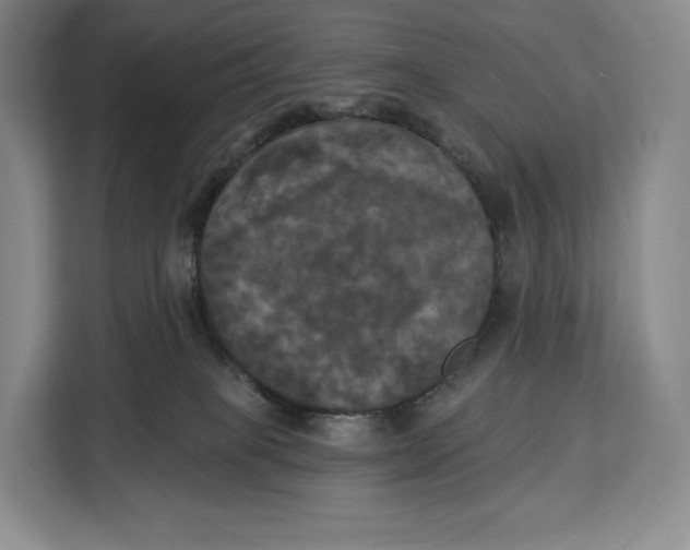 X0000113050085200909171549