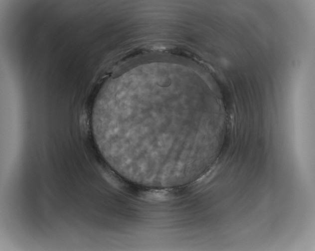 X0000113050086200909171549
