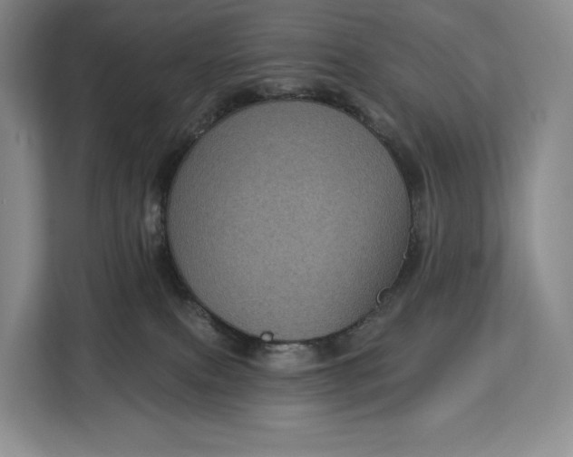 X0000113050087200909171549