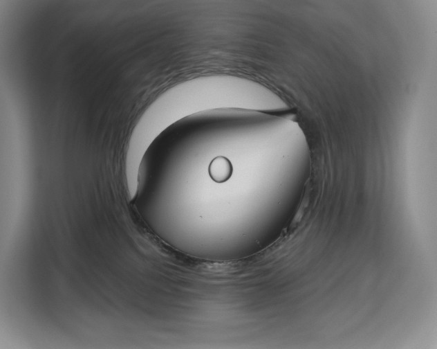 X0000113050088200909171549