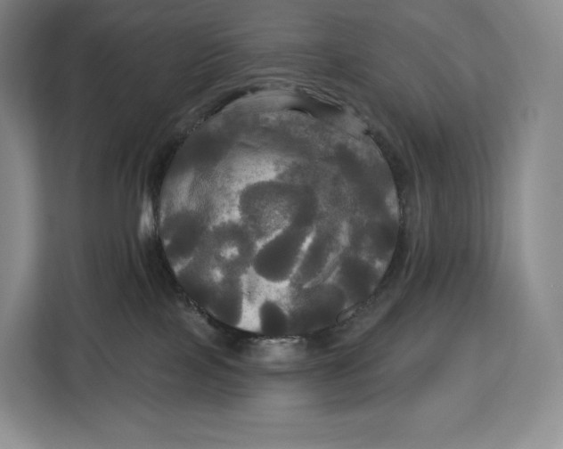X0000113050089200909171549