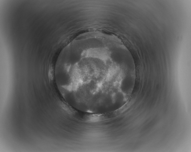 X0000113050090200909171549