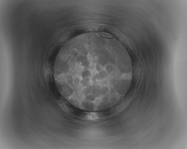 X0000113050091200909171550