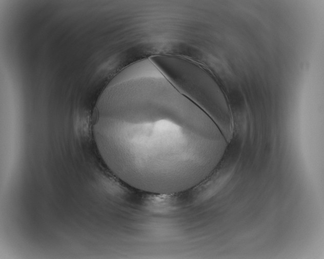 X0000113050092200909171550