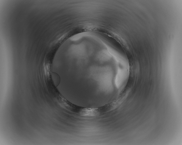 X0000113050093200909171550