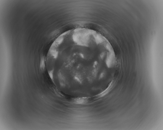 X0000113050094200909171550