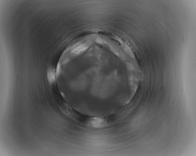 X0000113050095200909171550