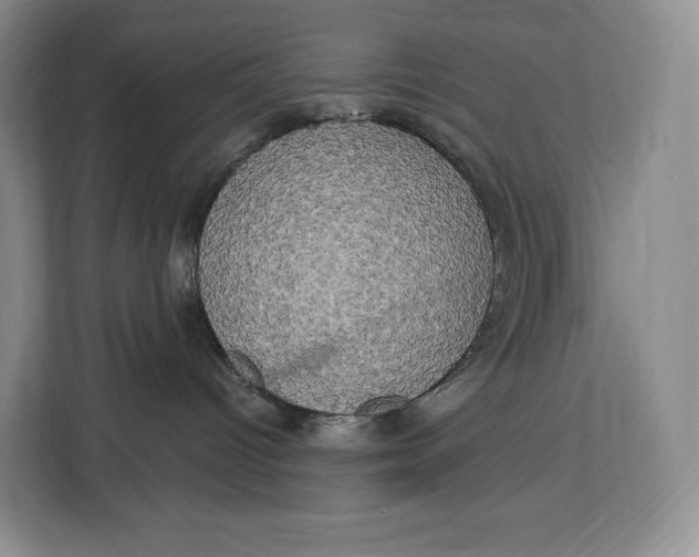 X0000113050096200909171550
