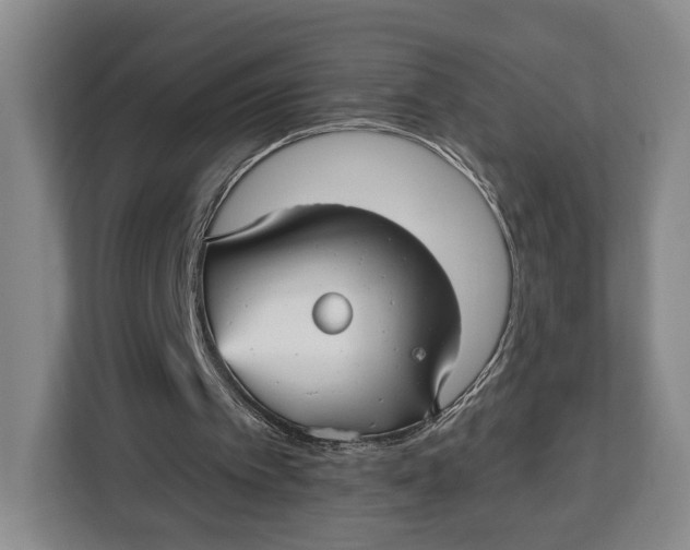X0000113050097200909171549