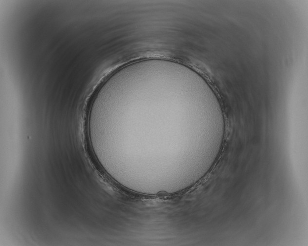 X0000113050098200909171549