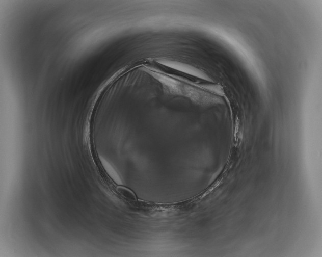 X0000113050099200909171549