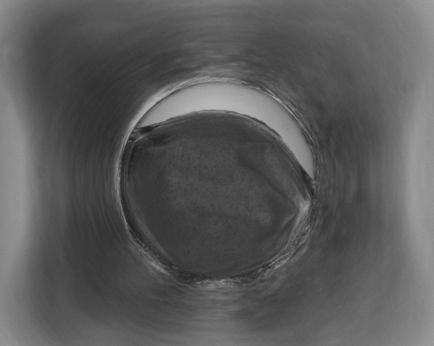 X0000113050100200909171549