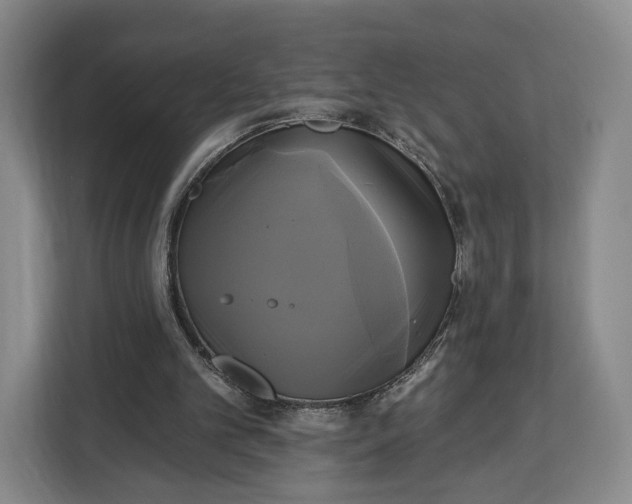 X0000113050101200909171549