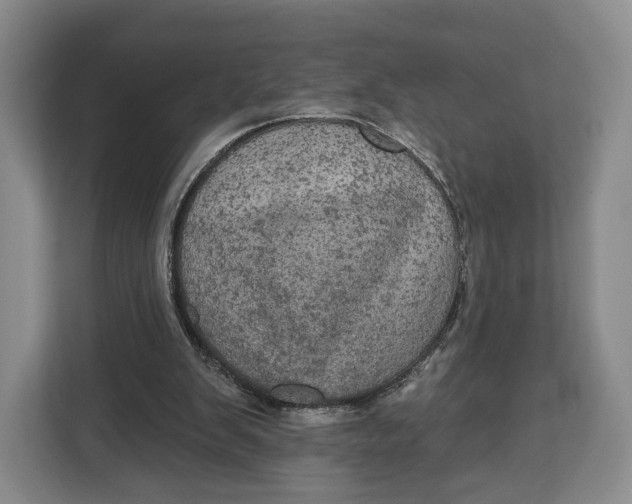 X0000113050103200909171549