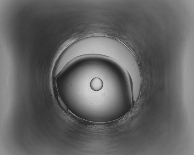 X0000113050104200909171549