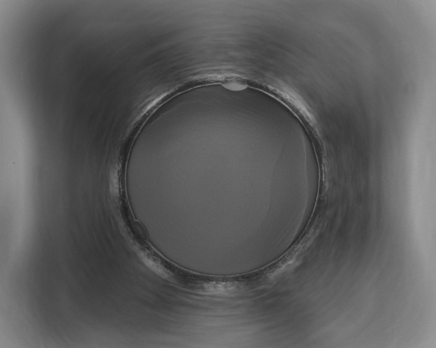 X0000113050105200909171549