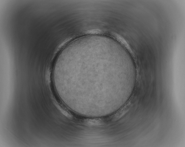 X0000113050106200909171549