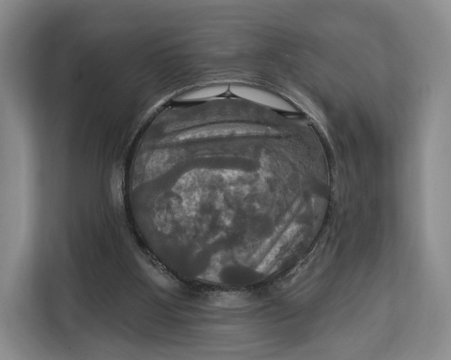 X0000113050107200909171549