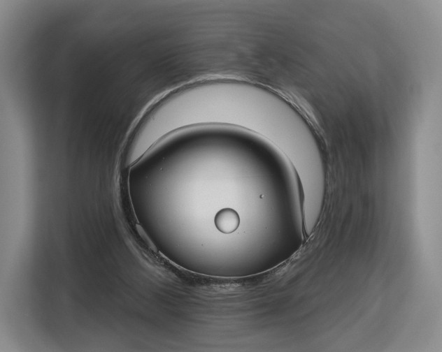 X0000113050108200909171549