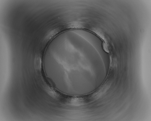 X0000113050109200909171549