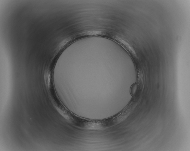 X0000113050110200909171549