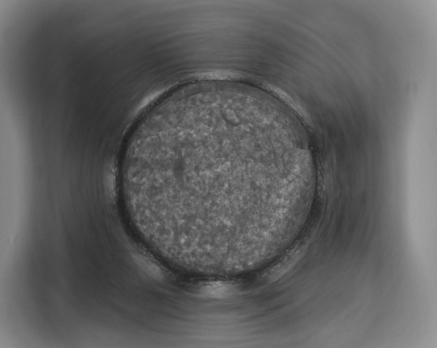 X0000113050111200909171549