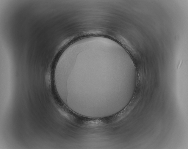 X0000113050112200909171549