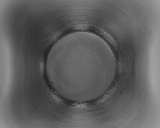 X0000113050113200909171549