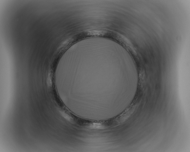 X0000113050114200909171549