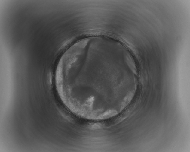 X0000113050115200909171549