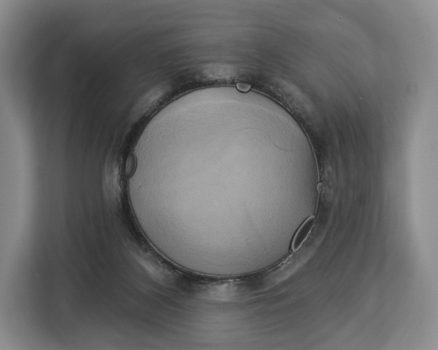 X0000113050116200909171549