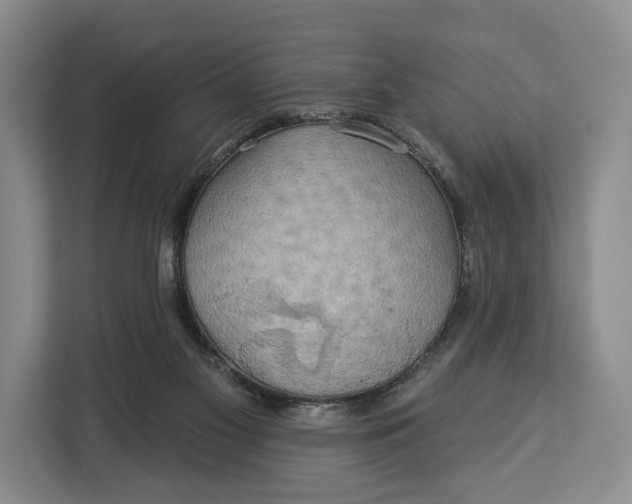 X0000113050117200909171549