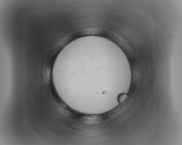 X0000113050118200909171549