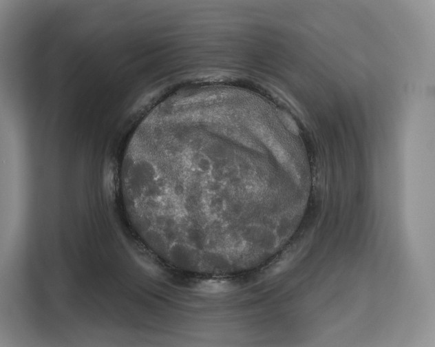 X0000113050119200909171549