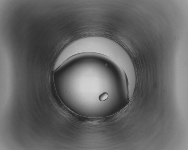 X0000113050120200909171549