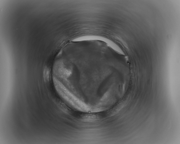 X0000113050123200909171549