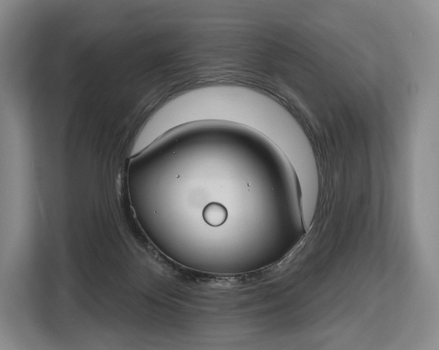 X0000113050124200909171549