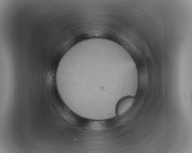 X0000113050126200909171549